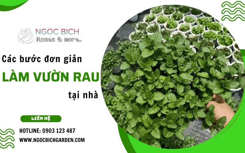 làm vườn tại nhà